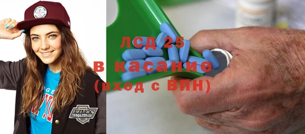 прущие грибы Верхний Тагил