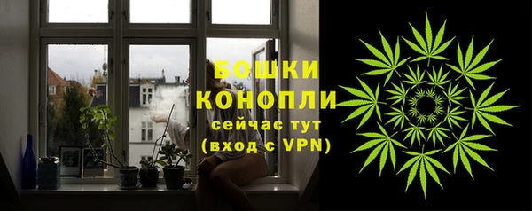 крисы Верея