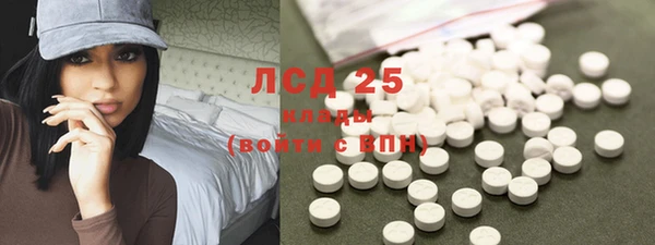 прущие грибы Верхний Тагил