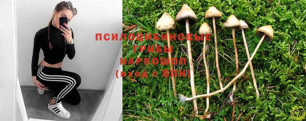 крисы Верея