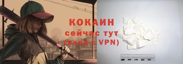 крисы Верея