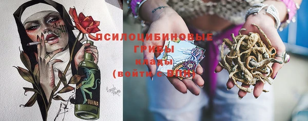 прущие грибы Верхний Тагил