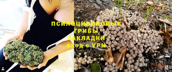 бошки Волоколамск